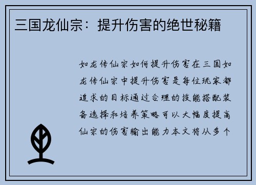 三国龙仙宗：提升伤害的绝世秘籍