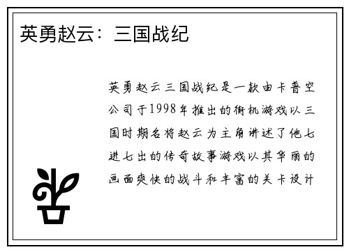 英勇赵云：三国战纪